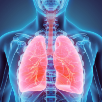 Dýchací soustava: Jak chránit své plíce