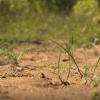 Sociálně-ekonomické dopady klimatických změn