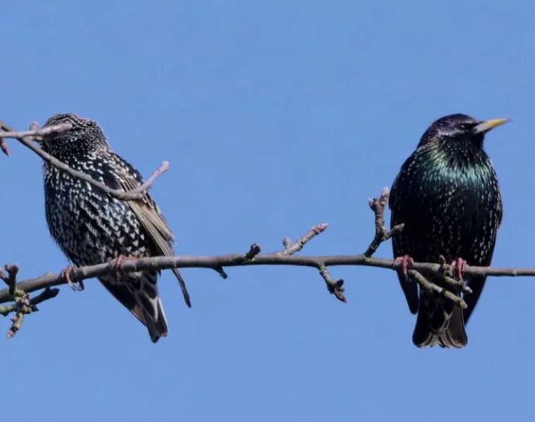 Co všechno se děje na jaře?