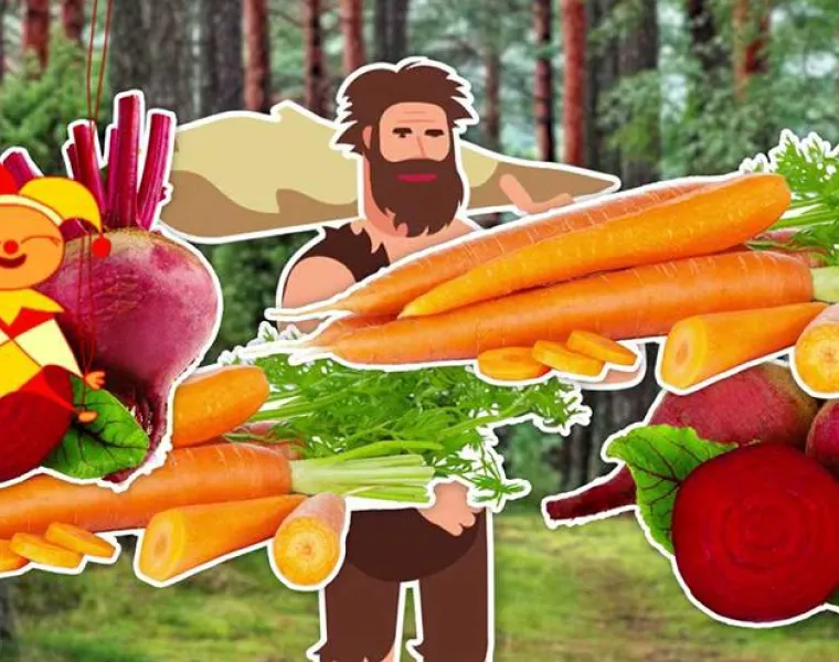 Užitková zahrada: Plody našich zahrádek