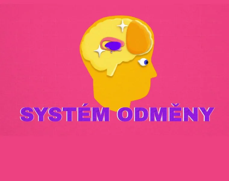 Co se děje v našem mozku, když dostaneme lajk?