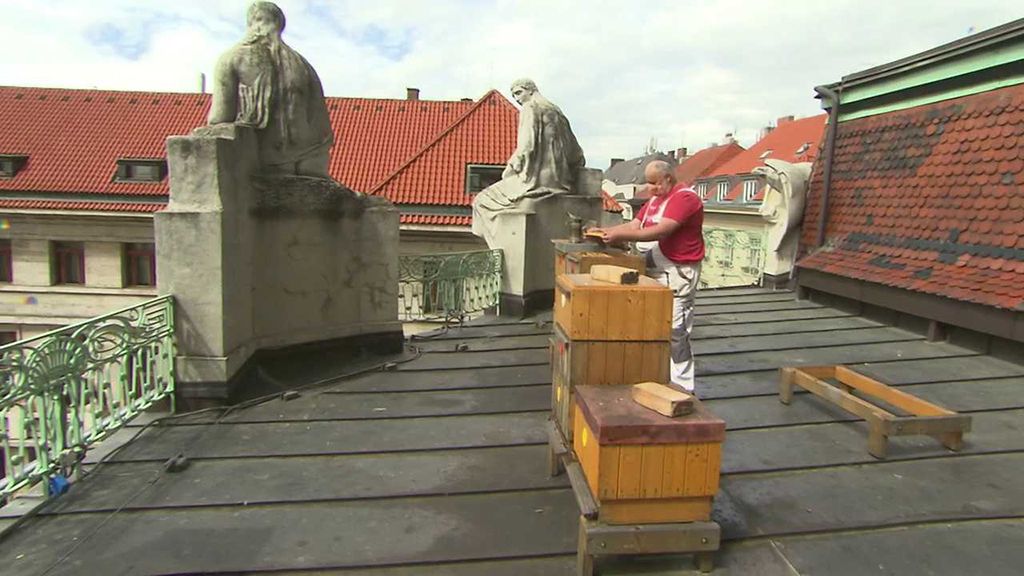 Včelaři v Praze