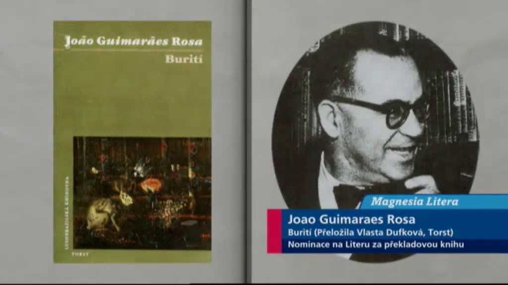 Joao Guimaraes Rosa: Burití
