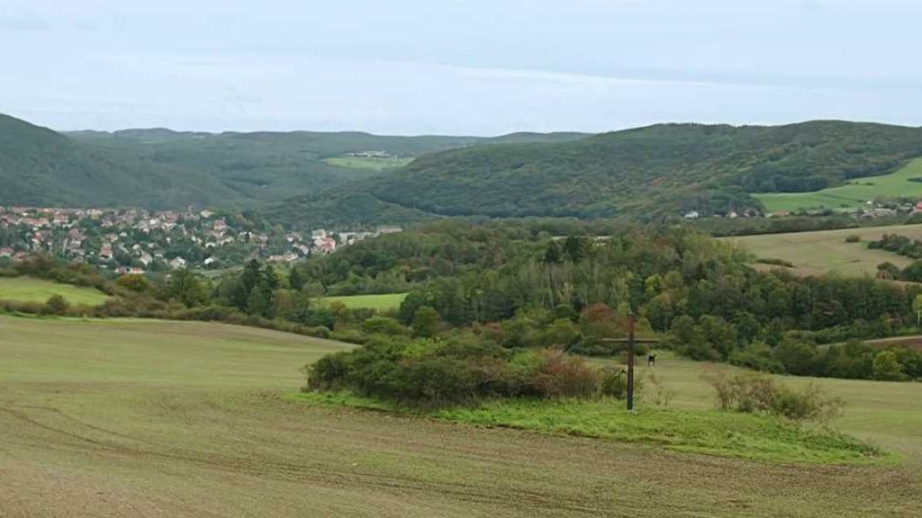 Keltské opidum ve Stradonicích