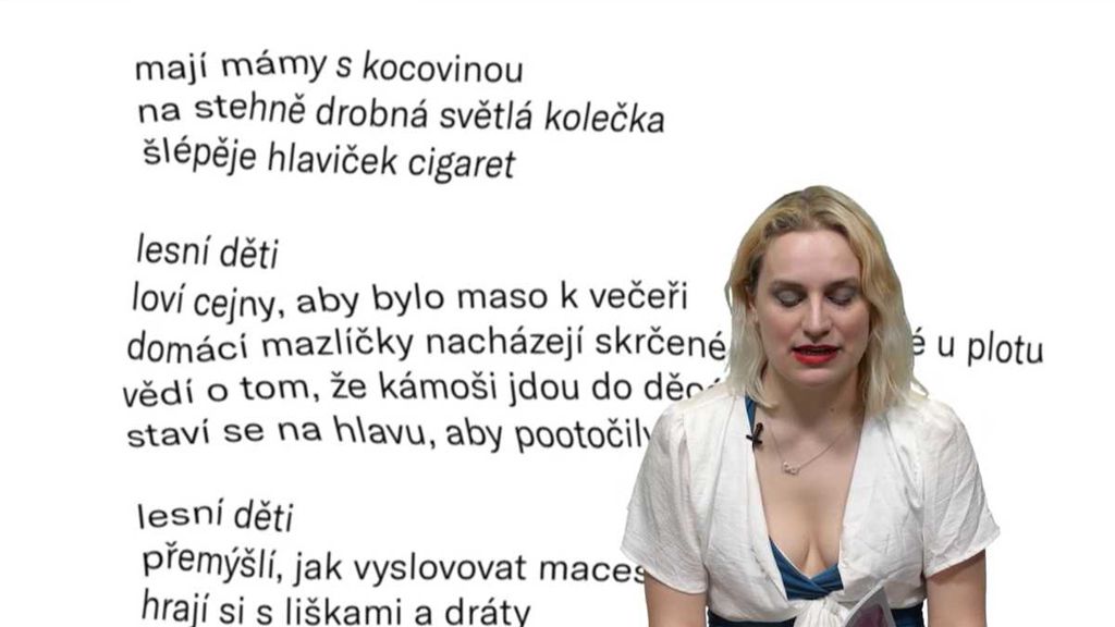 Současná česká poezie: Magdalena Šipka