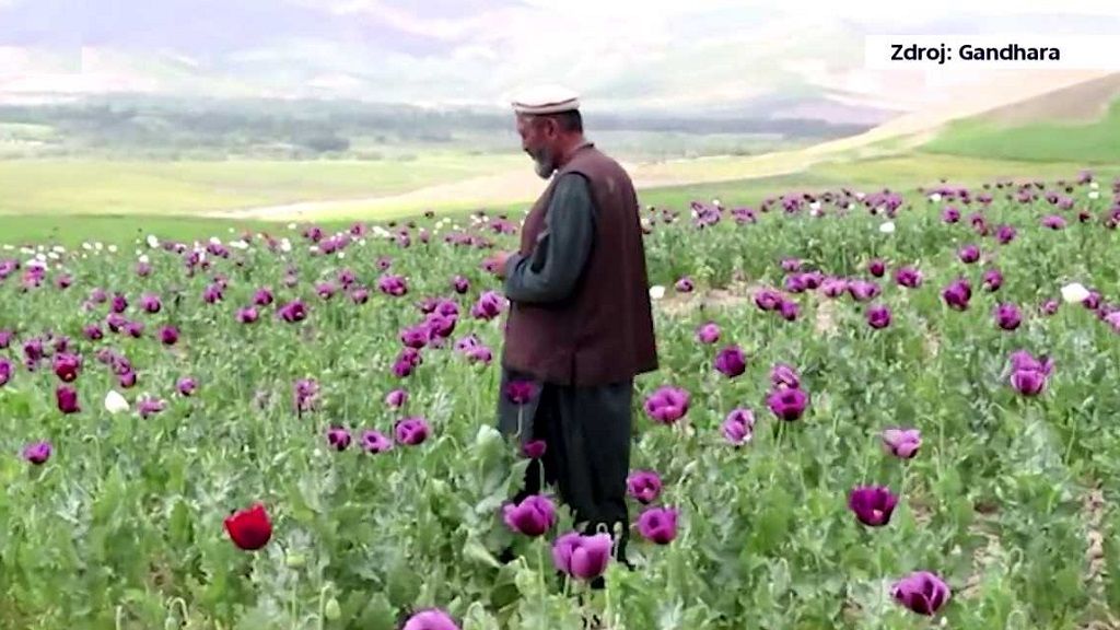Afghánistán: Země závislá na vývozu opia