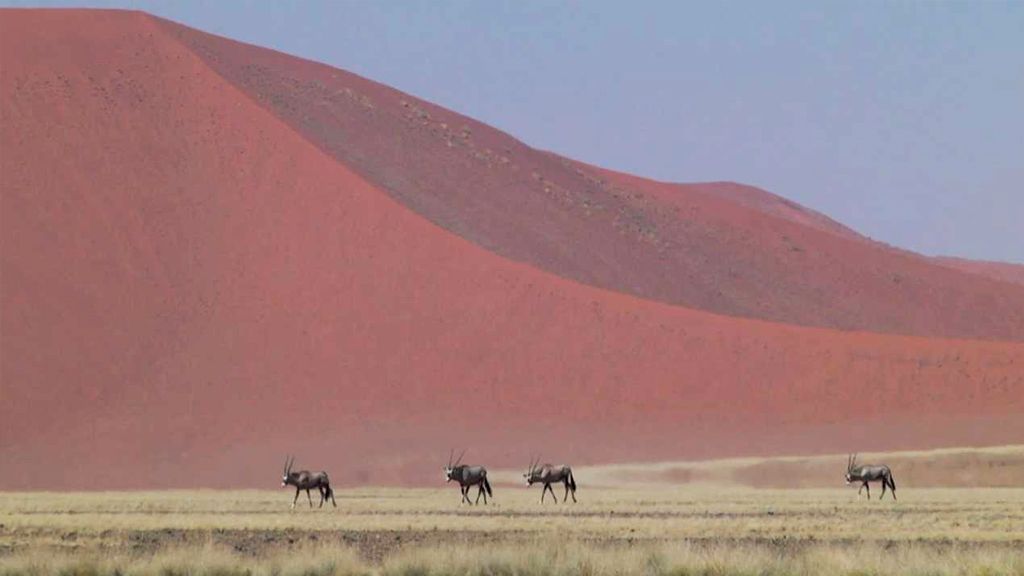 Namibie: Země kontrastů