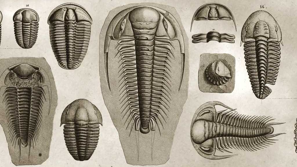 Trilobiti Joachima Barrandeho