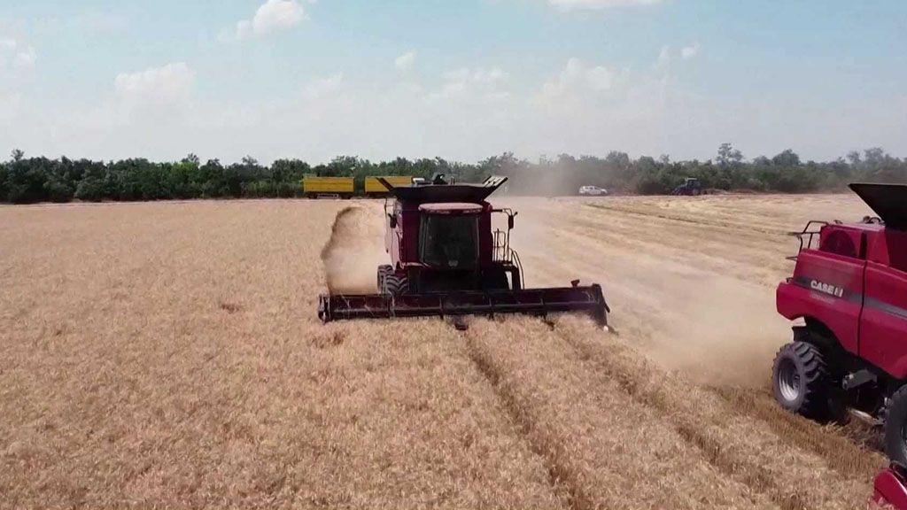 Vliv války na Ukrajině na počet lidí trpících hladem