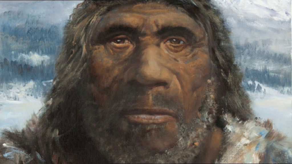 Čím lze charakterizovat neandertálce?