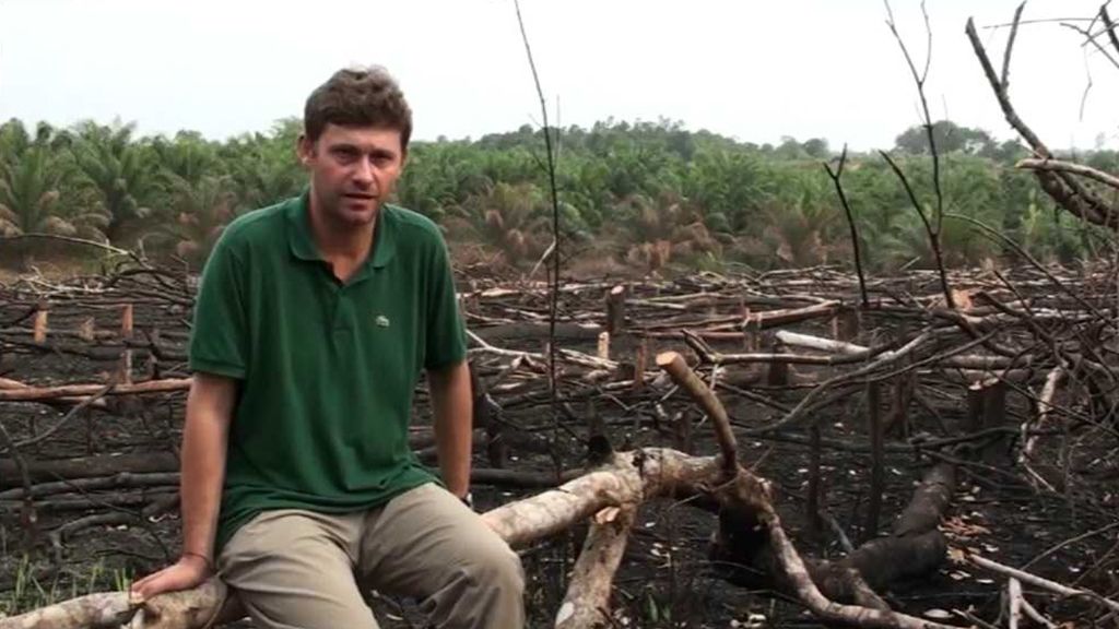 Borneo: Tropický deštný les v ohrožení