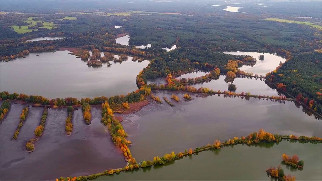 Fauna Třeboňské pánve