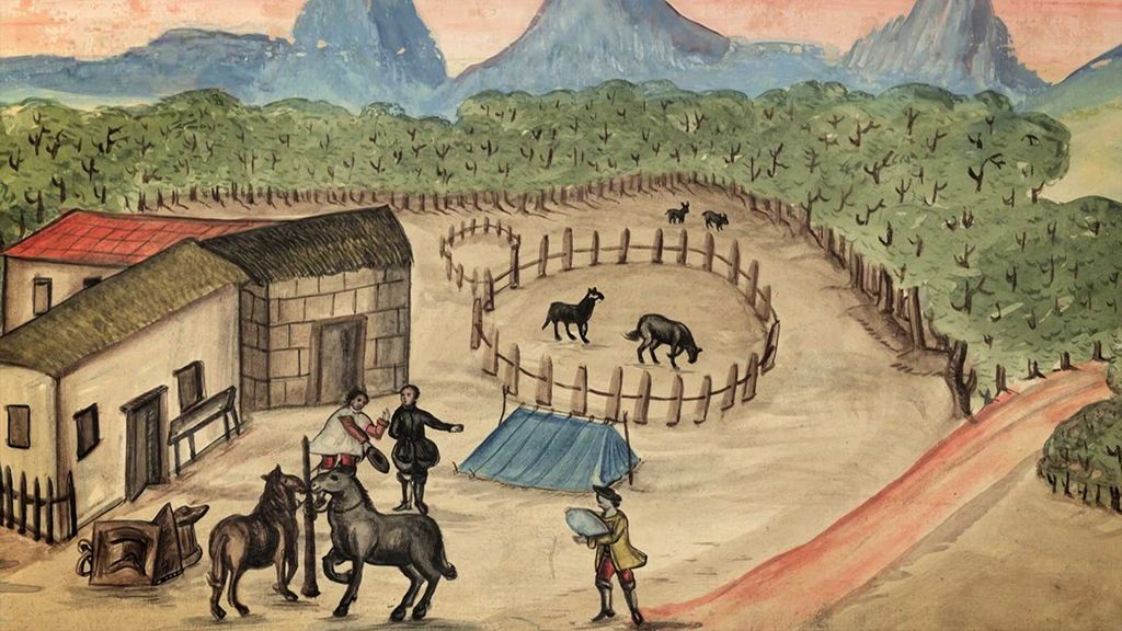 Misionářská činnost v Mexiku v 18. století