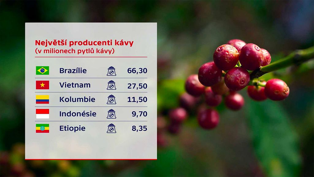 Káva v ohrožení