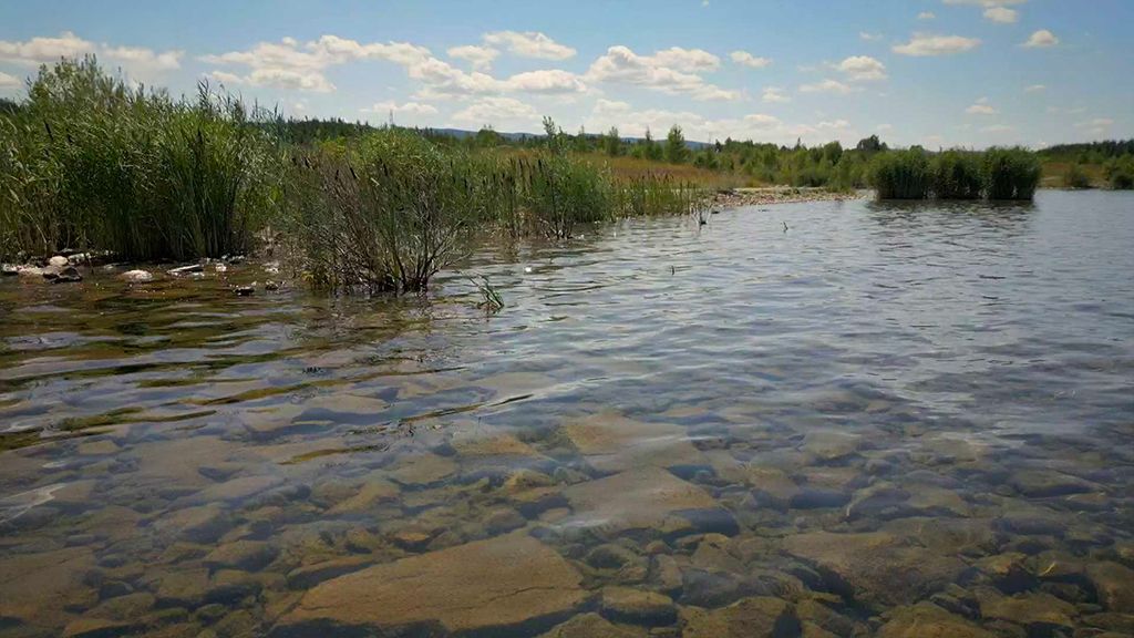 Jezero Medard: Zrekultivovaný hnědouhelný důl