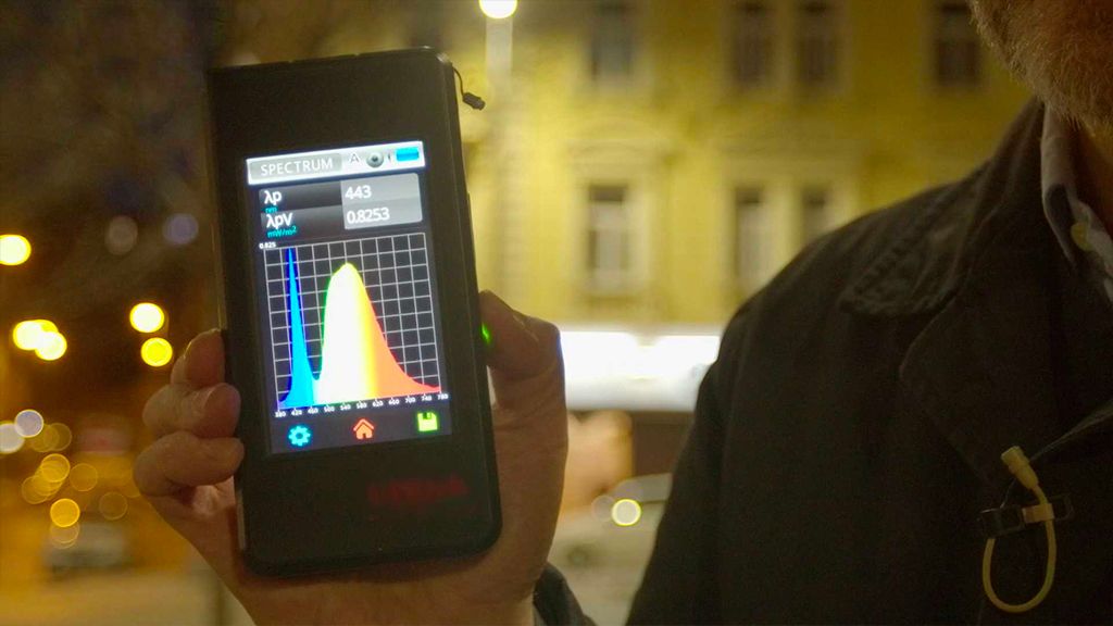 Světelné znečištění a noční živočichové