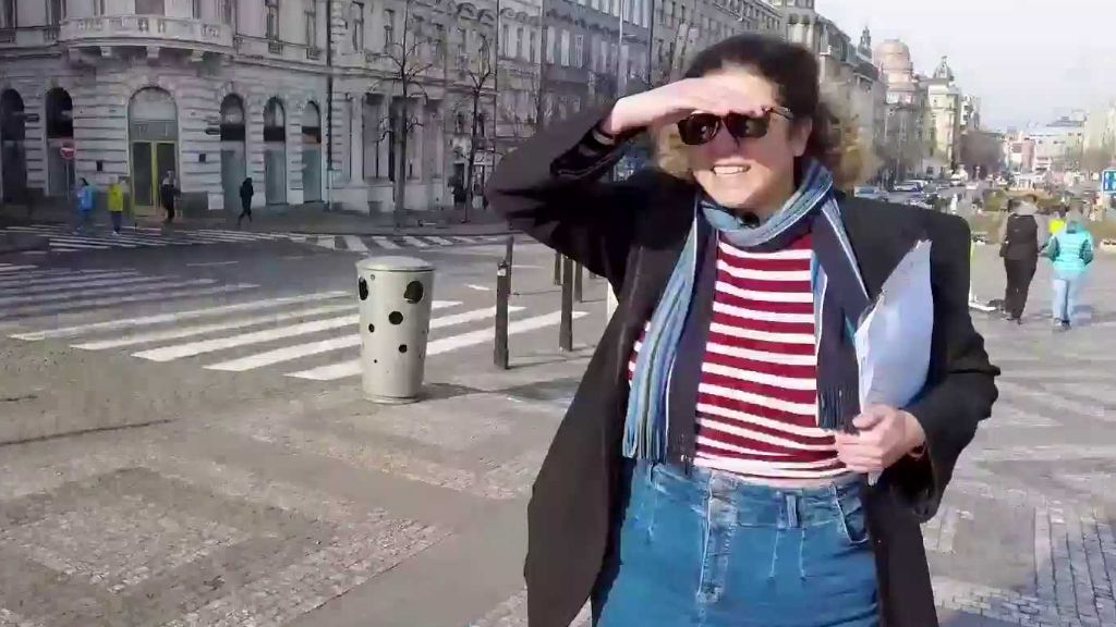 Politická strana