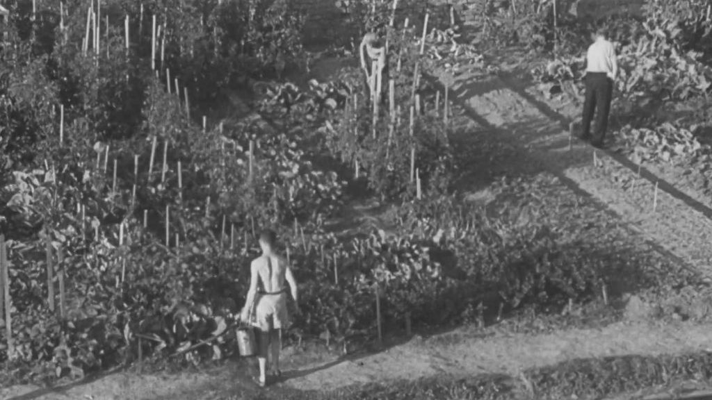 Terezínská „svoboda“