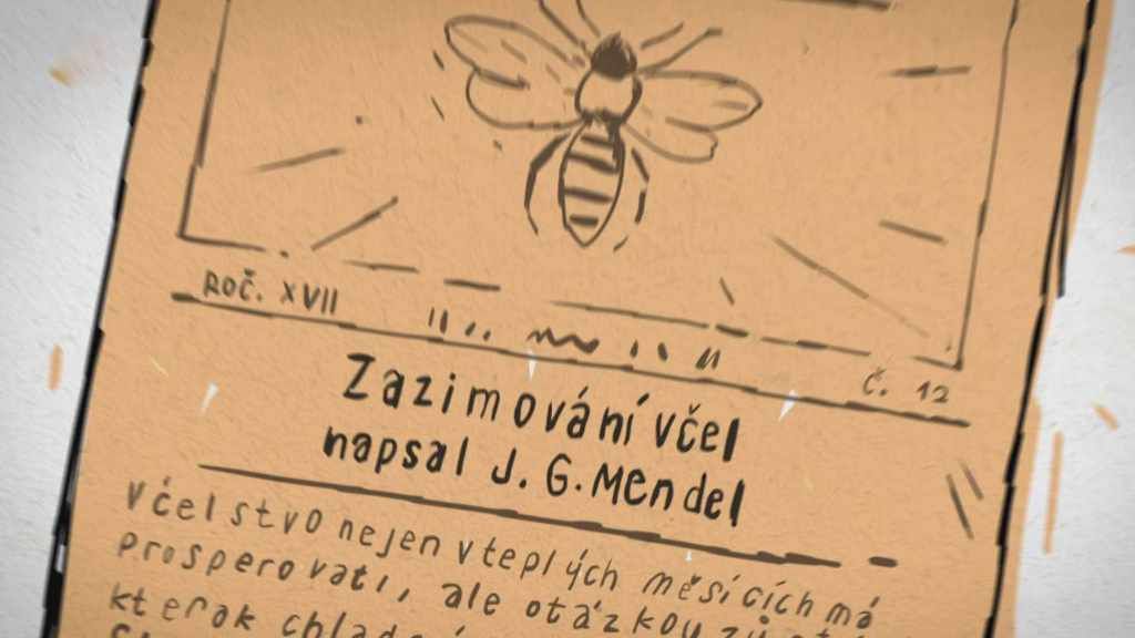 Tajemství pana M.: Knihovna