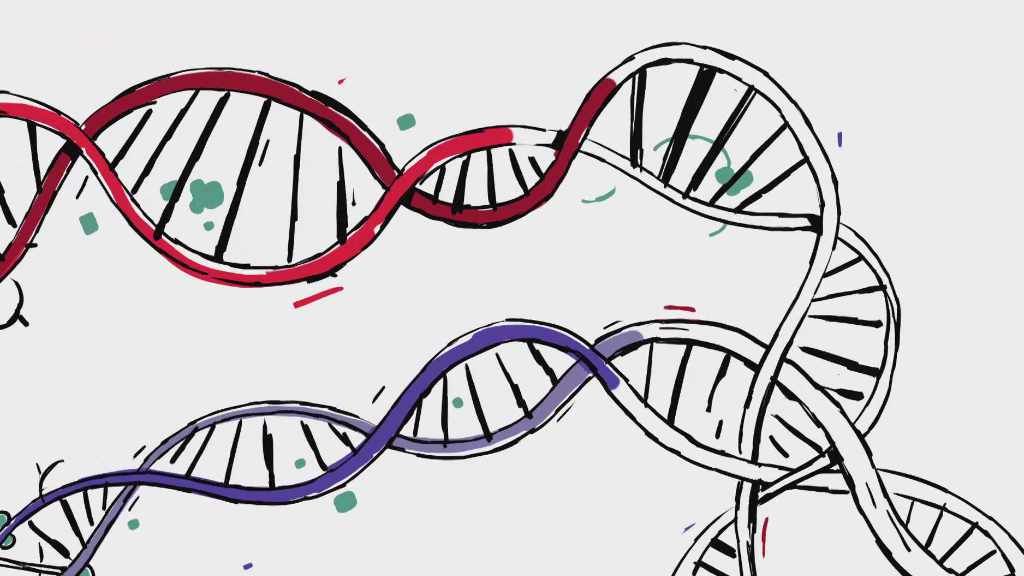 Tajemství pana M.: Zahrada