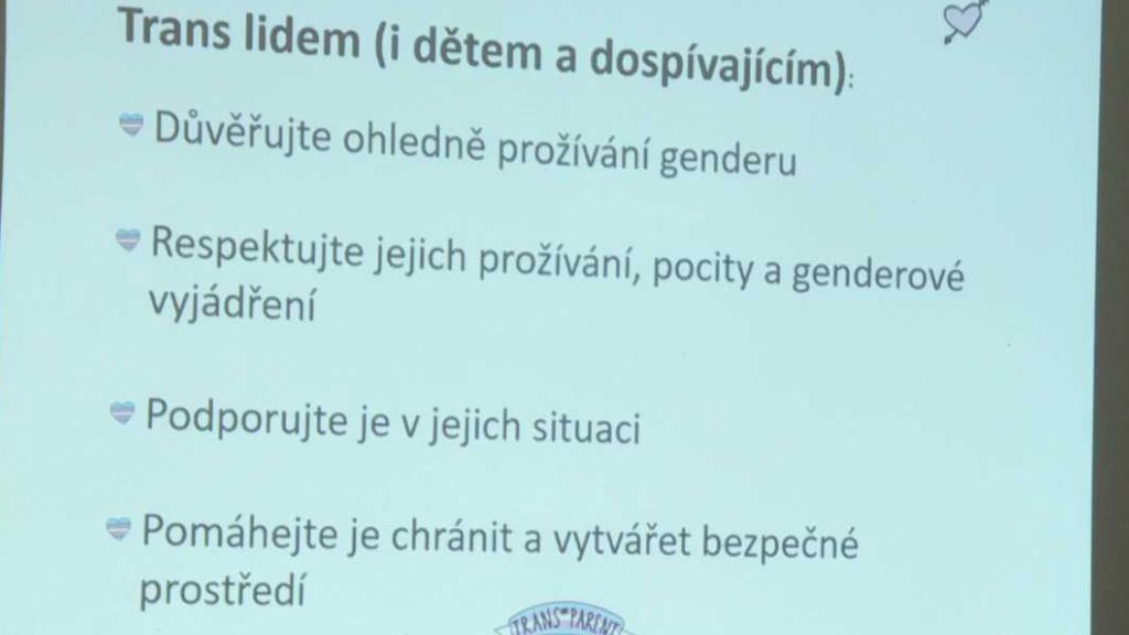 Queer: Trans-formy