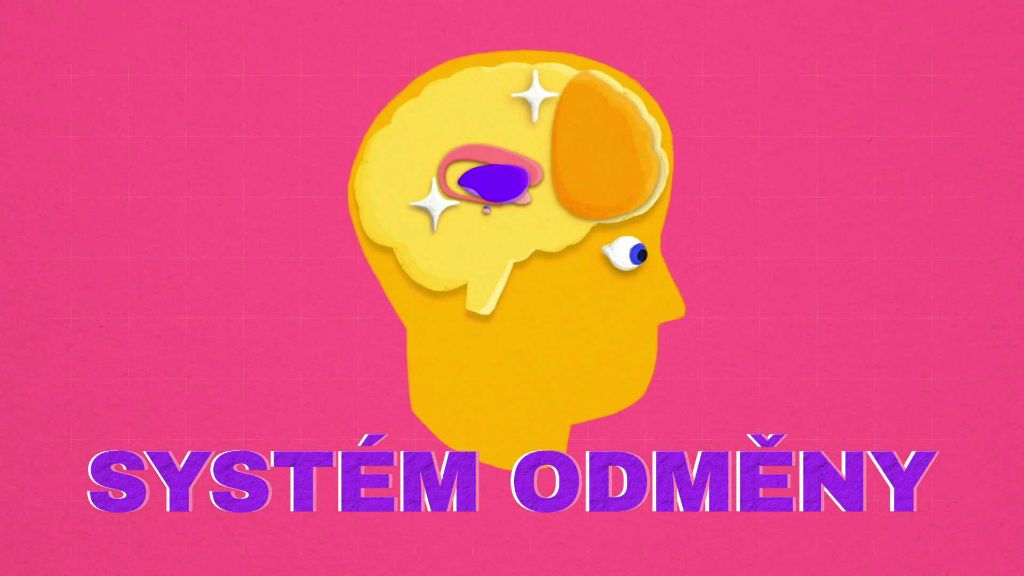 Co se děje v našem mozku, když dostaneme lajk?