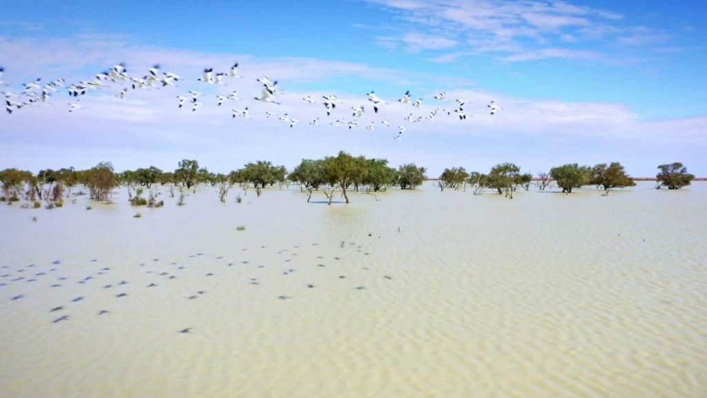 Austrálie: Eyreovo jezero