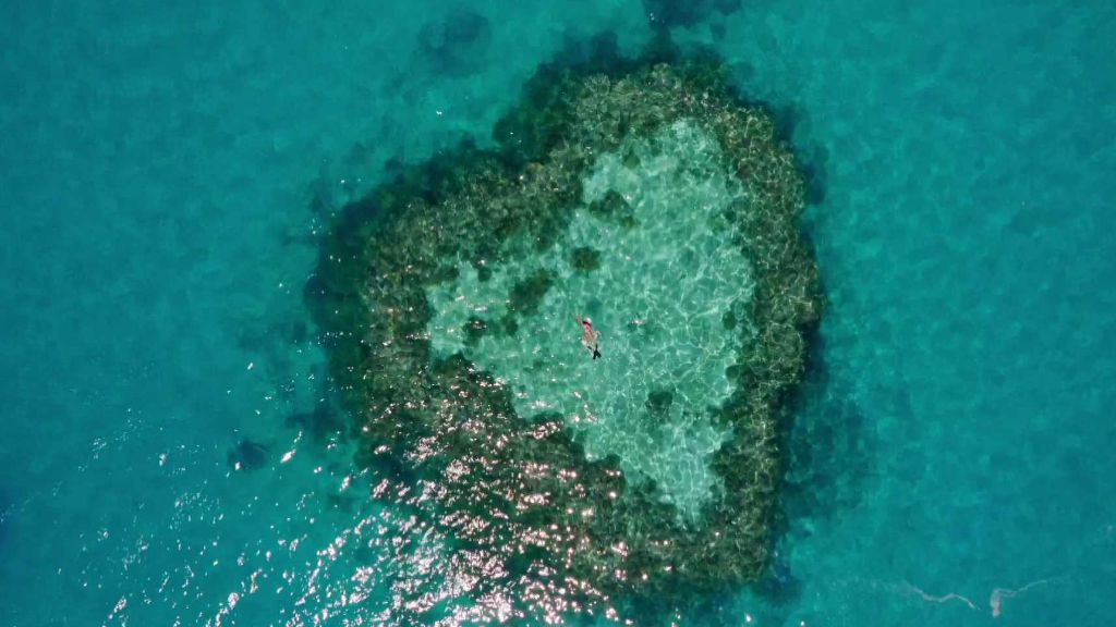 Velký bariérový útes