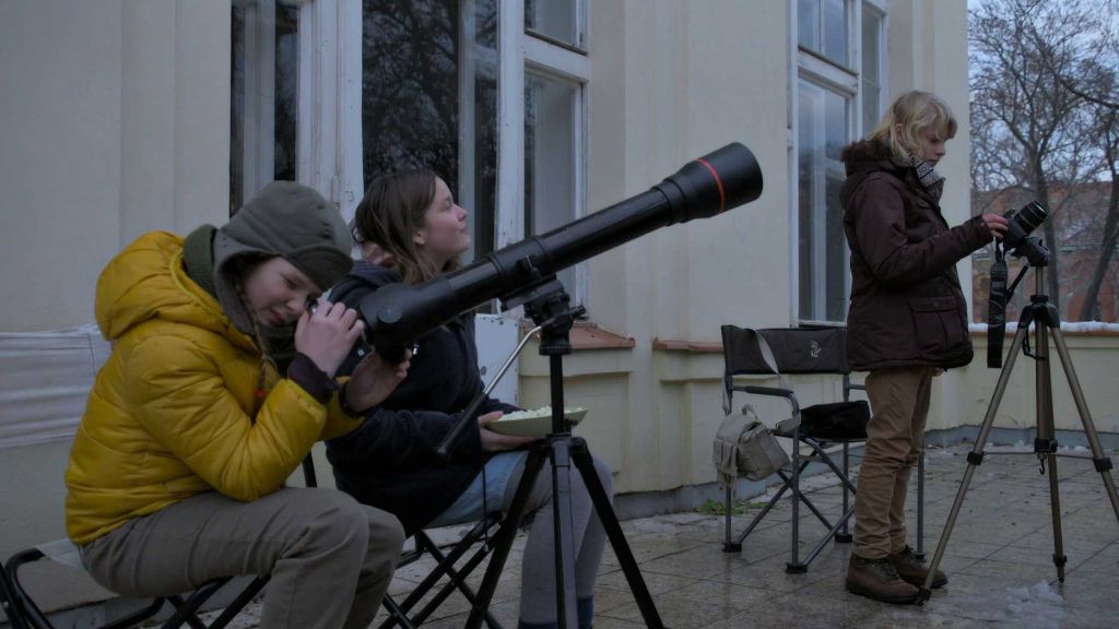 Když padají hvězdy