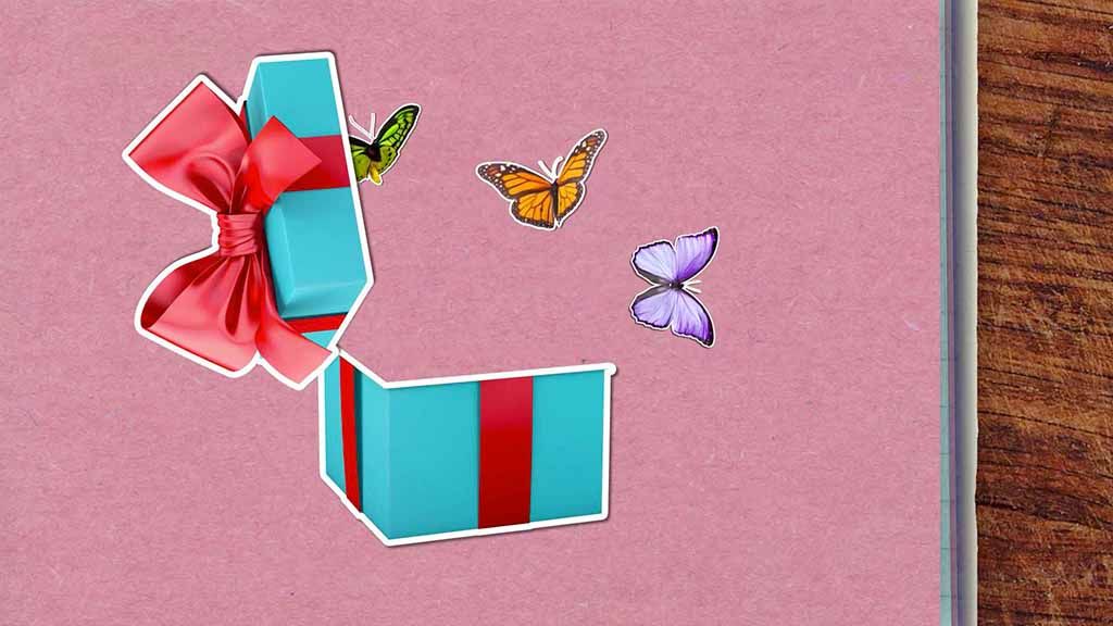 Proč jsou motýli tak barevní?