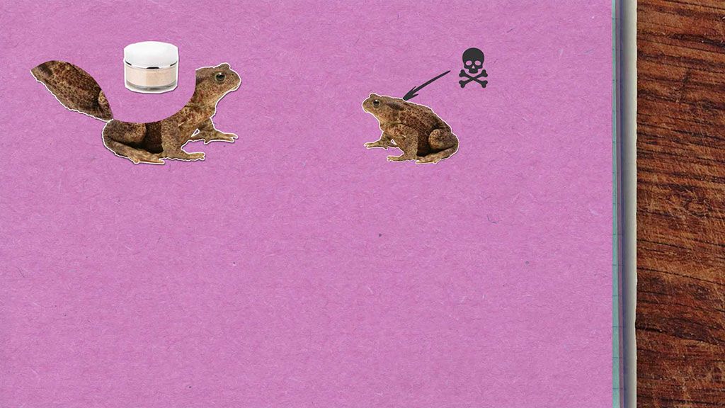 Je pravda, že žáby a ropuchy přenáší bradavice?