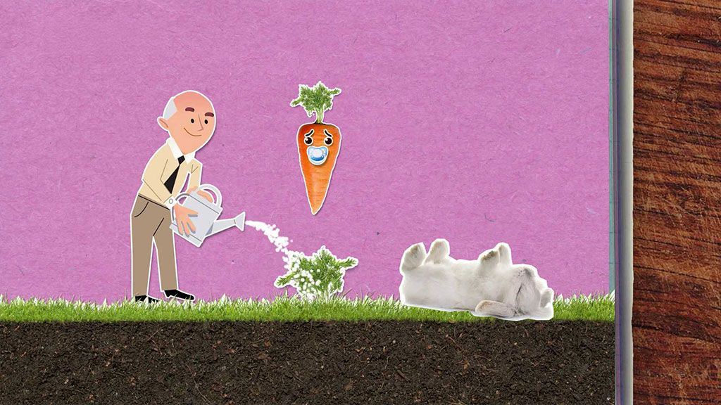 Po mrkvi prý lépe vidíme ve tmě. Kdepak!