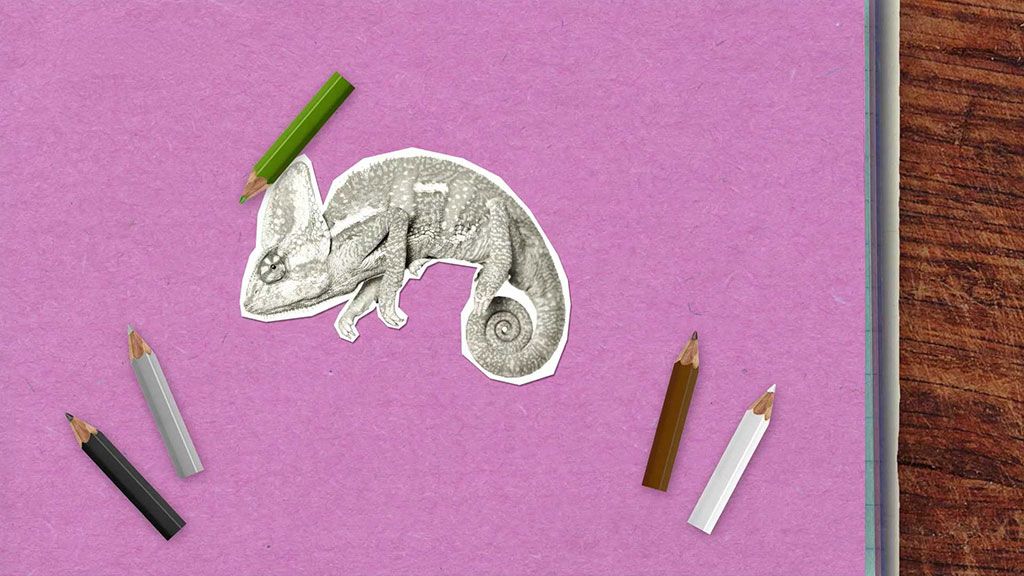 Je pravda, že chameleoni mění barvu kvůli maskování?