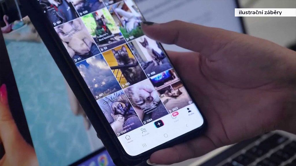 Nebezpečné online výzvy - Červený delfín