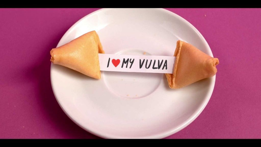 Vše o sexu: Vulva