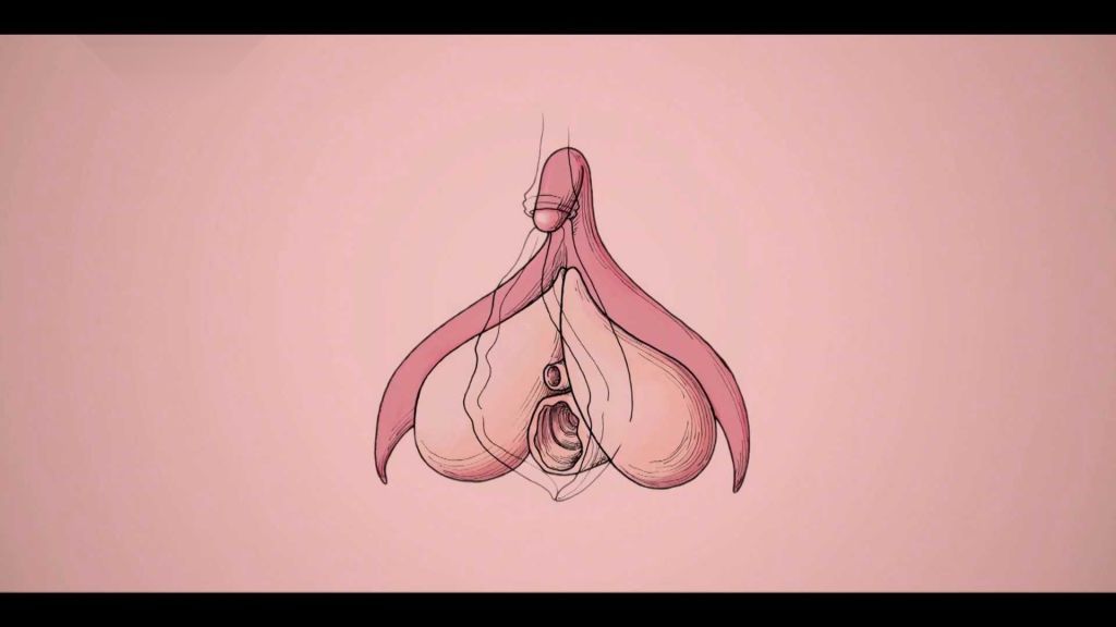Vše o sexu: Klitoris