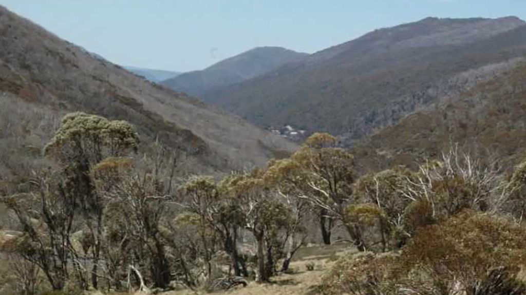 Austrálie: Velké předělové pohoří