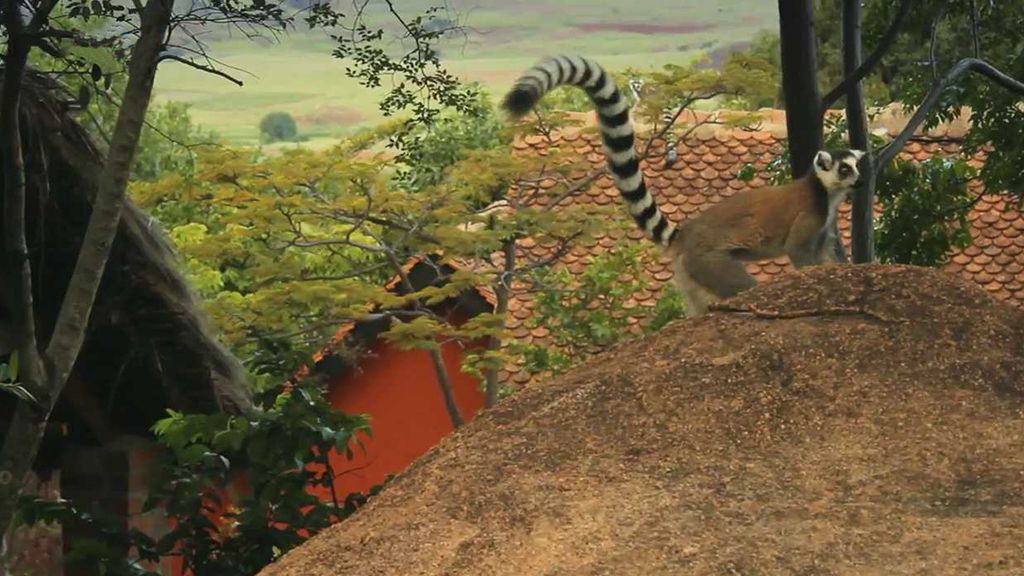 Madagaskar: Největší ostrov Afriky