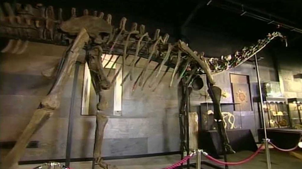 Dinosauří kosti v dražbě