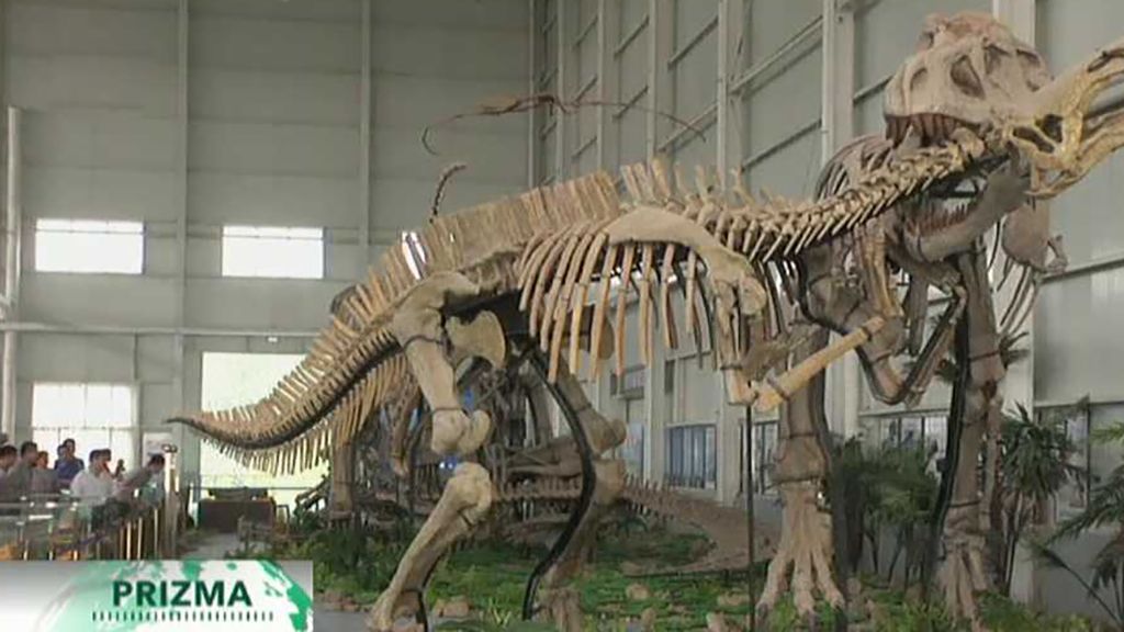Dinosauří pohřebiště v Číně