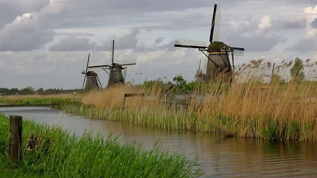 Holandsko: Zelené srdce