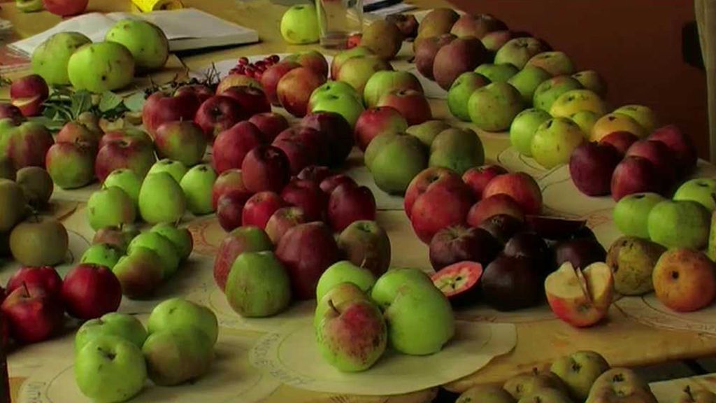 Jablečná slavnost v Hostětíně