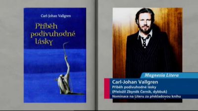 Carl-Johan Vallgren: Příběh podivuhodné lásky