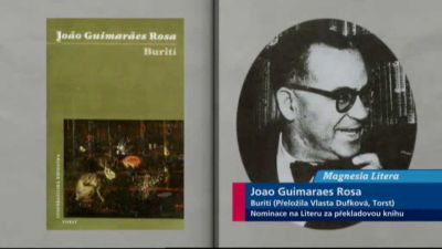 Joao Guimaraes Rosa: Burití