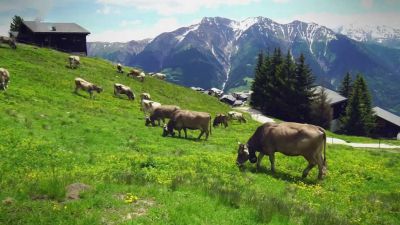 Švýcarské Alpy: Výroba kravských zvonů