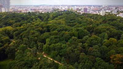 Berlín, město zeleně