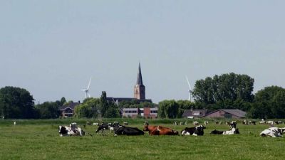 Nizozemsko: Farmáři dobytka v ohrožení