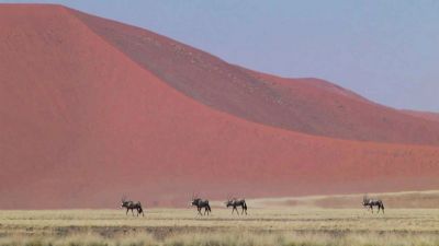Namibie: Země kontrastů