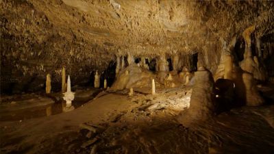 Moravský kras: Sloupsko-šošůvské jeskyně