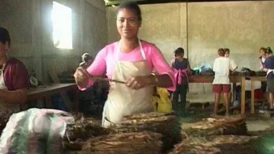 Nikaragua: Pěstování tabáku